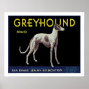 Suche nach hundehütte poster Haustier