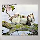 Suche nach tits kunst Bird
