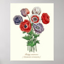Suche nach papavere poster Blumen