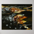 Suche nach strom poster Herbst