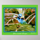 Suche nach fins poster Natur