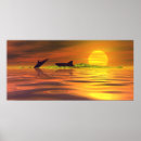 Suche nach delfin poster Hai