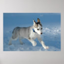 Suche nach tier freundlich poster Jede person