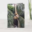 Suche nach gibbon postkarten Lustig