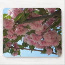 Suche nach kirschbaum mousepads Rosa