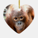 Suche nach orang utans ornamente Borneo