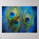 Suche nach fish poster Blue