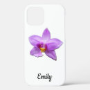 Suche nach wilde orchidee Jede person
