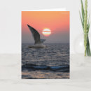 Suche nach möve karten Natur