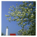 Suche nach east fliesen Weiß