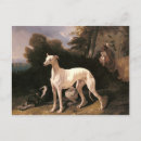 Suche nach für den windhund postkarten Jede person