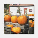 Suche nach usa farben magnete Herbst