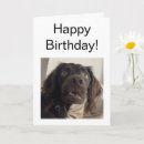 Suche nach meme karten Für ihn