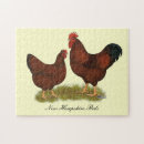 Suche nach roter vogel puzzle Geflügel