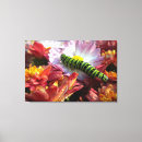 Suche nach mäuse leinwandbilder Blume