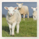 Suche nach voll untersetzer Vertikal