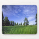 Suche nach kamm mousepads Natur