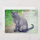 Suche nach katze save the date Für alle