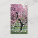 Suche nach kirschbäume visitenkarten Kirsche