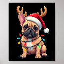 Suche nach weimaraner hund poster Wolf