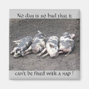 Suche nach piggies magnete Piggy