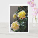 Suche nach rosa gelbe rosen karten Jede person