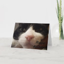 Suche nach katzen karten Schwarz weiß