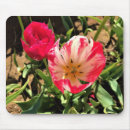 Suche nach weiße tulpen mousepads Quelle