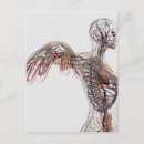 Suche nach immunologie postkarten Detail