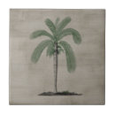 Suche nach vintage palme fliesen Baum