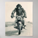 Suche nach ape poster Lustig
