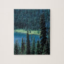 Suche nach immergrüner baum puzzle Fluss