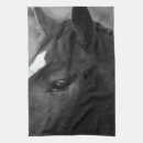 Suche nach weißes pferd geschirr tücher Profil