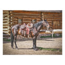 Suche nach sattel poster Tier