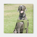 Suche nach deutsche dogge magnete Hund