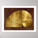 Suche nach fibonacci spirale poster Mathe