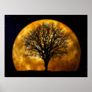 Suche nach atmosphäre poster Vollmond