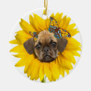 Suche nach puggle ornamente Weihnachten