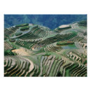 Suche nach reisfelder poster Bauernhof