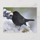 Suche nach schneebälle postkarten Natur