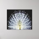 Suche nach pfau leinwandbilder Für sie