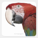 Suche nach tierkörperteil aufkleber Natur