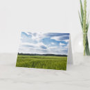 Suche nach kornfeld Landschaft