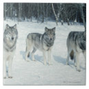 Suche nach rand fliesen Horizontal