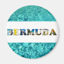 Suche nach bermuda magnete Tropisch