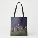 Suche nach puffin taschen Tierwelt