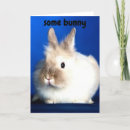 Suche nach häschen liebe karten Hase