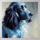 Suche nach spaniels poster Kaninchen