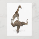 Suche nach zusammenarbeit postkarten Spaß