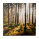 Suche nach wälder fliesen Herbst